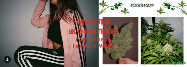 амф Вяземский
