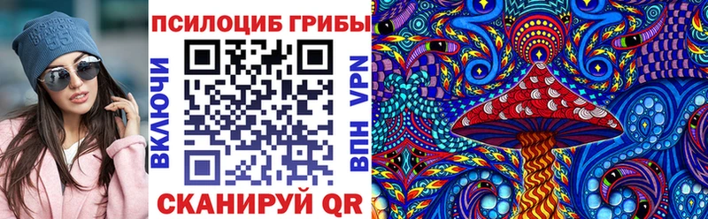 Галлюциногенные грибы Psilocybine cubensis  Смоленск 