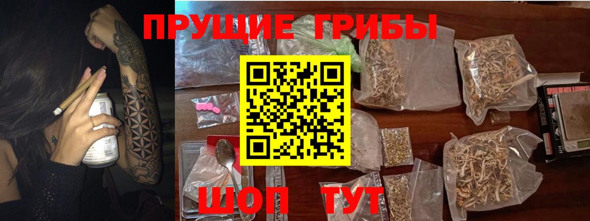 Смоленск  Галлюциногенные грибы MAGIC MUSHROOMS  Вход с VPN  Псилоцибиновые грибы мицелий 